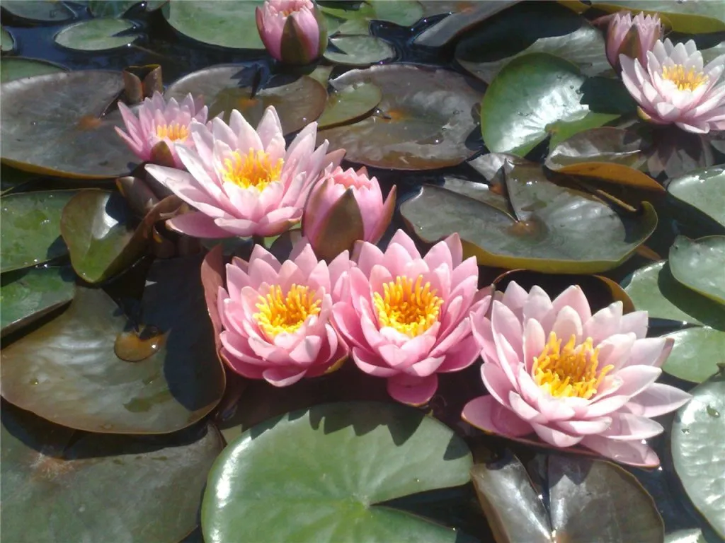 blog image