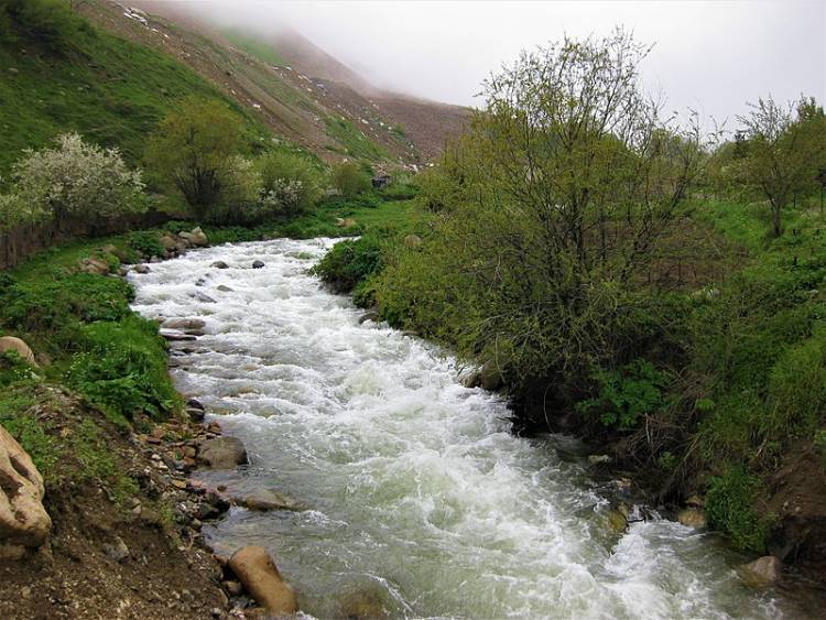 Blog Image