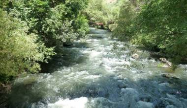 blog image