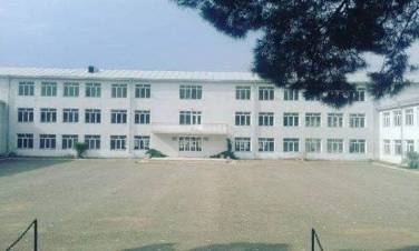 blog image