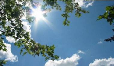 blog image