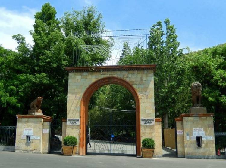Blog Image