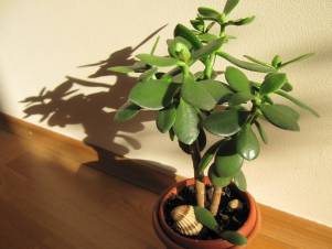 blog image
