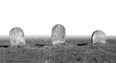 blog image