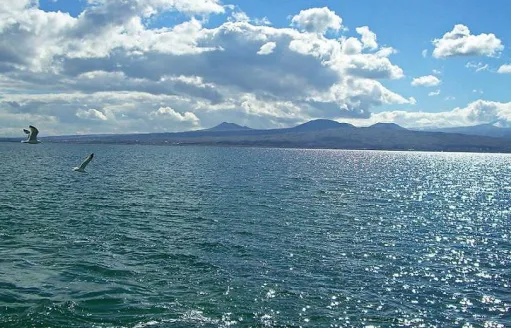 blog image