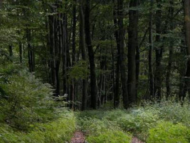 Blog Image