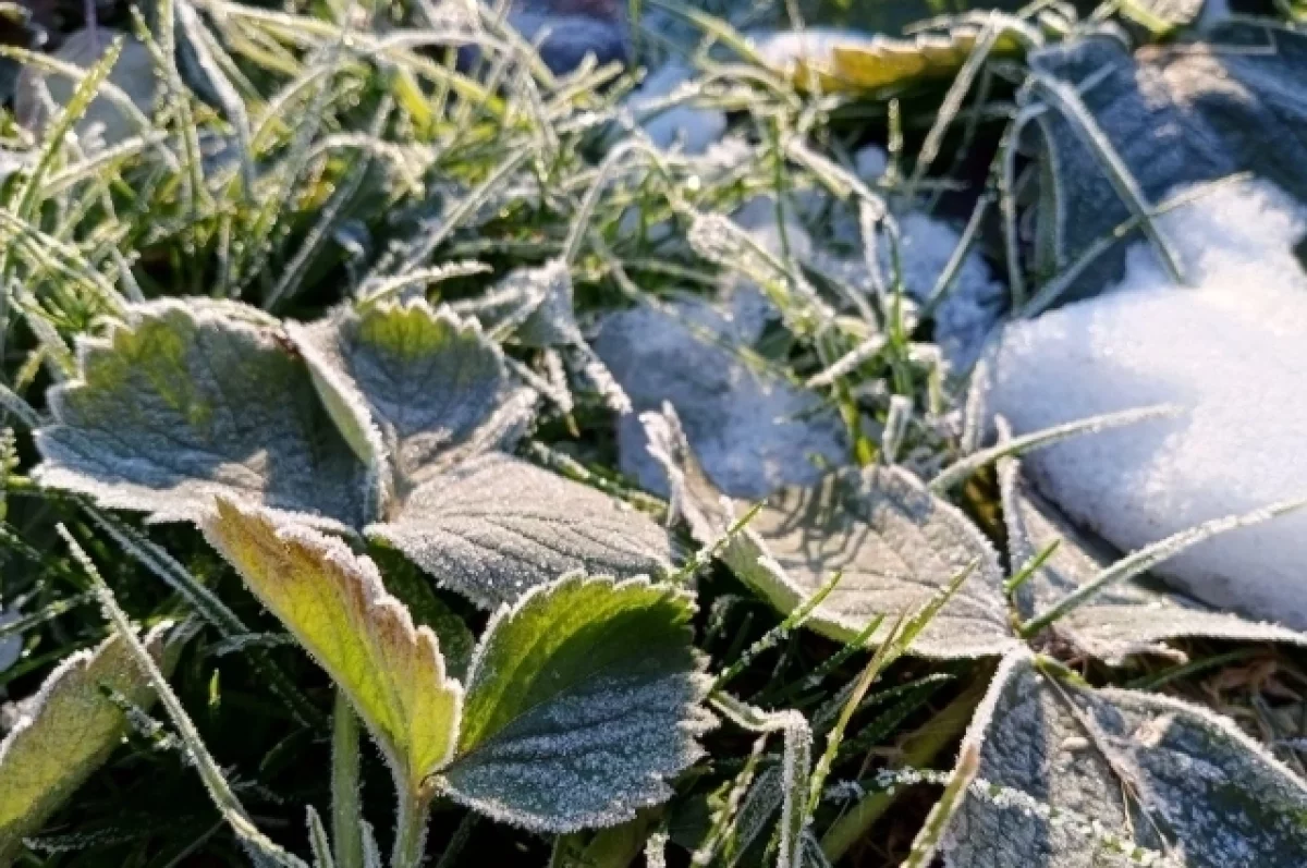 blog image