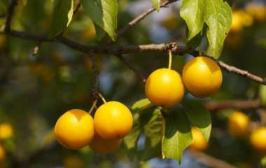 blog image
