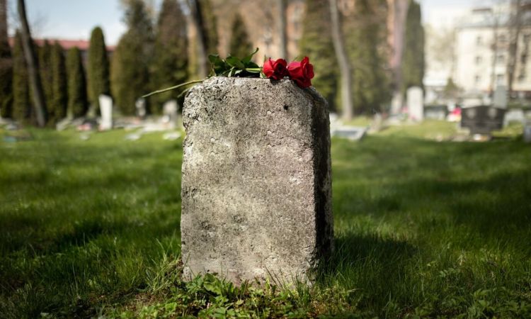 Blog Image