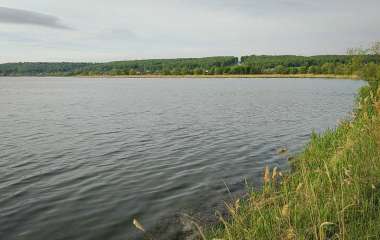 blog image