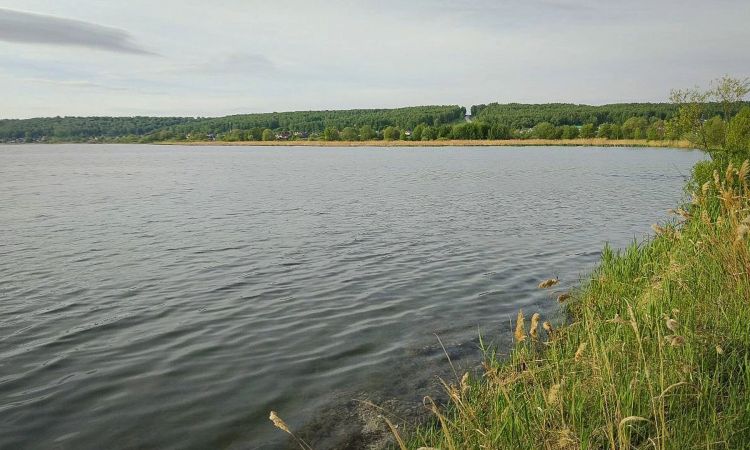 Blog Image